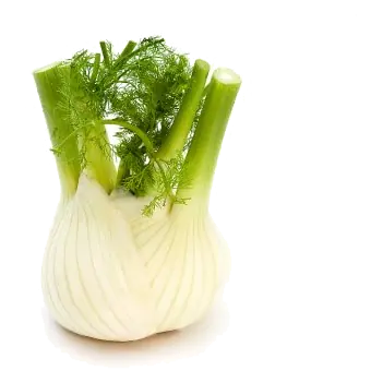 Loose Fennel