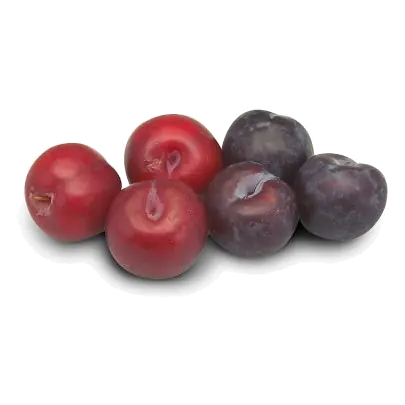 Loose Plums