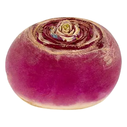 Loose Turnips