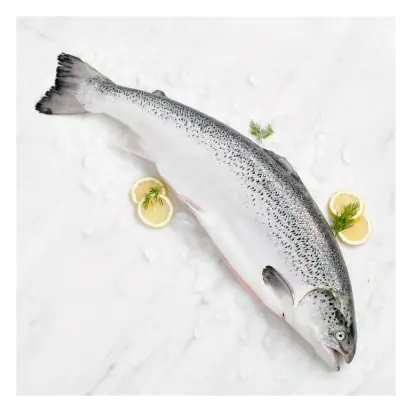 Medium Fresh Whole Scottish Salmon