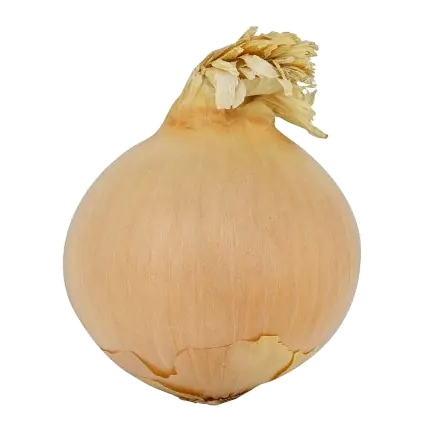 Onions