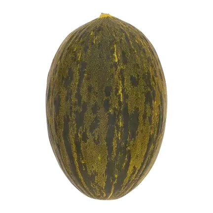 Piel De Sapo Melon