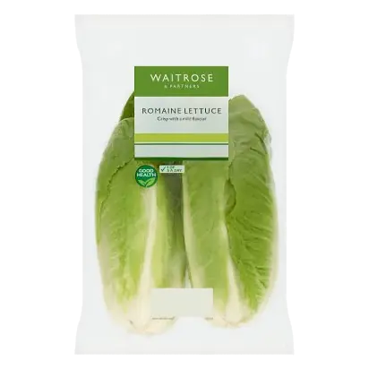 Romaine Lettuce
