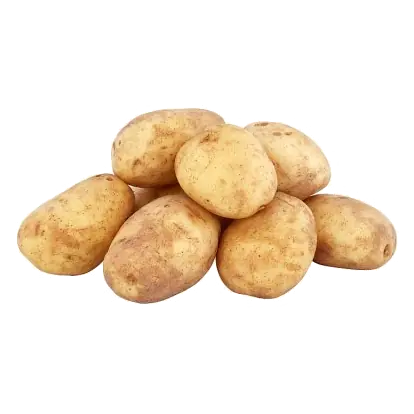 Scottish Large Potatoes