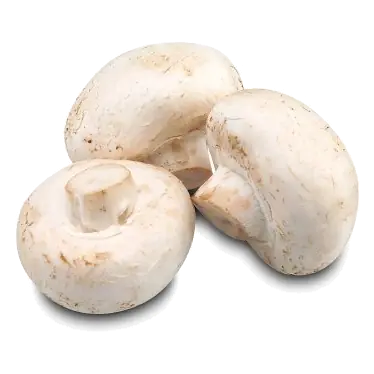 Scottish Loose Cup Mushrooms