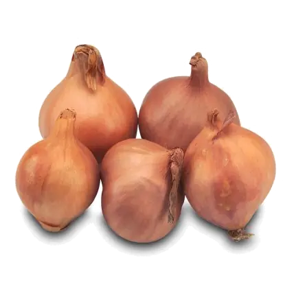Shallots