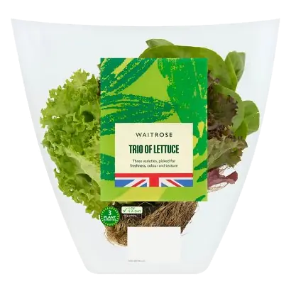 Trio of Lettuce