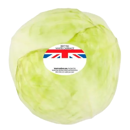 White Cabbage