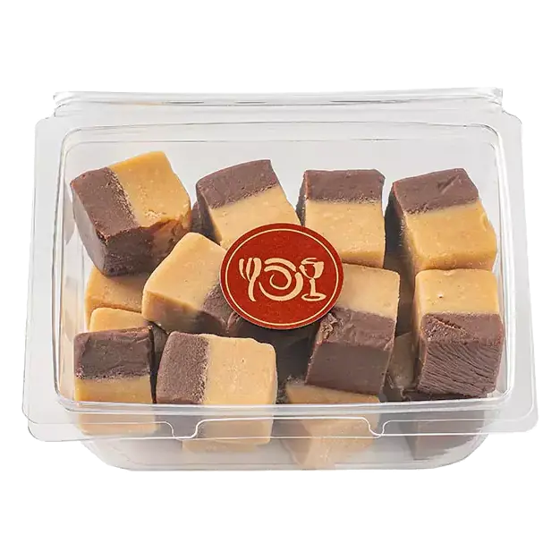 Chocolate Peanut Butter Fudge Bites