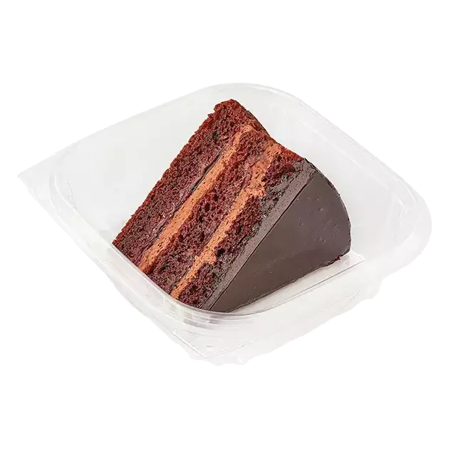 Chocolate Raspberry Cake Slice
