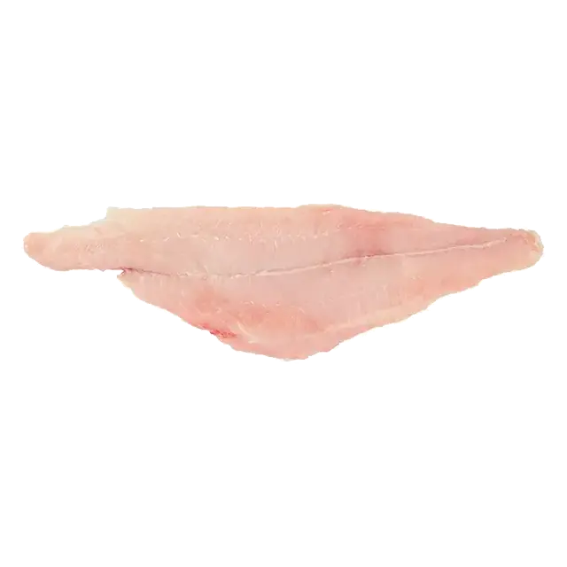 Fresh Wild Blue Catfish Fillet