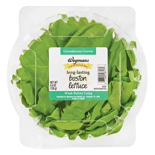 Greenhouse Grown Boston Lettuce