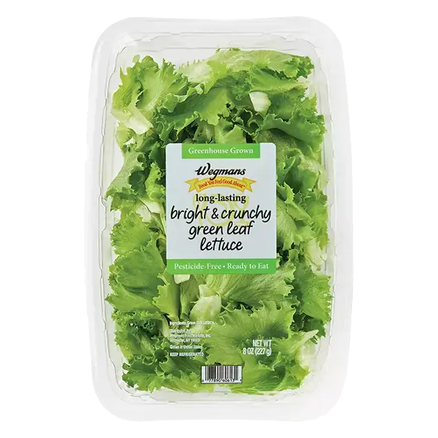Greenhouse grown, bright & crunchy green leaf lettuce
