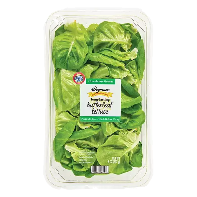 Greenhouse Grown Butterleaf Lettuce, FAMILY PACK