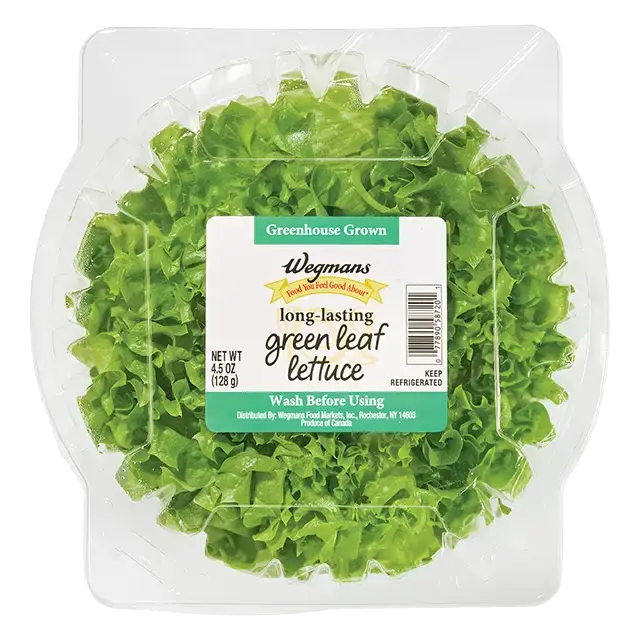 Greenhouse Grown Green Leaf Lettuce
