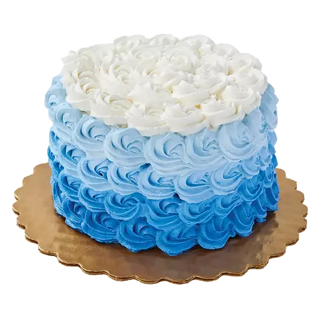 Mini True Color Ombre Chocolate Cake