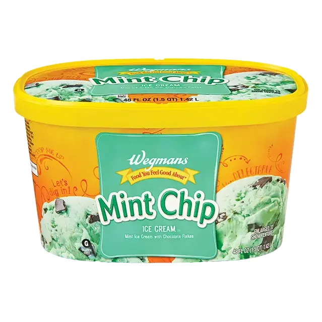 Mint Chip Ice Cream