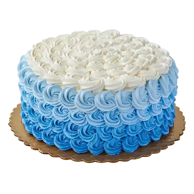 True Color Ombre Chocolate Cake