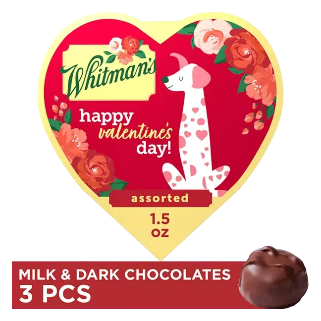 Valentine's Day Animal Friends Assorted Milk & Dark Chocolate Candy Heart Gift Box