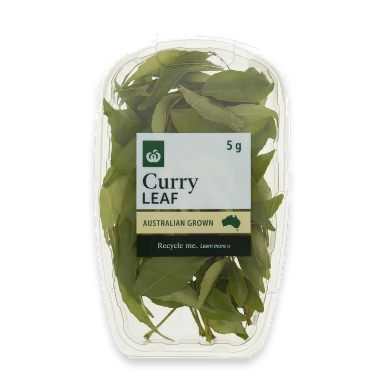 Curry Leaf Fresh Herb Punnet