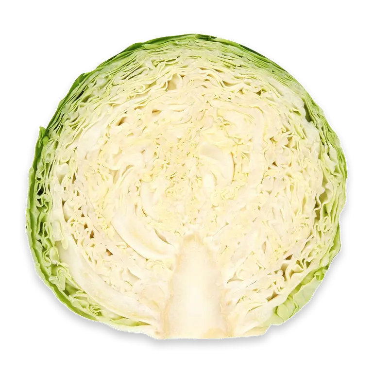 Fresh Green Cabbage Half