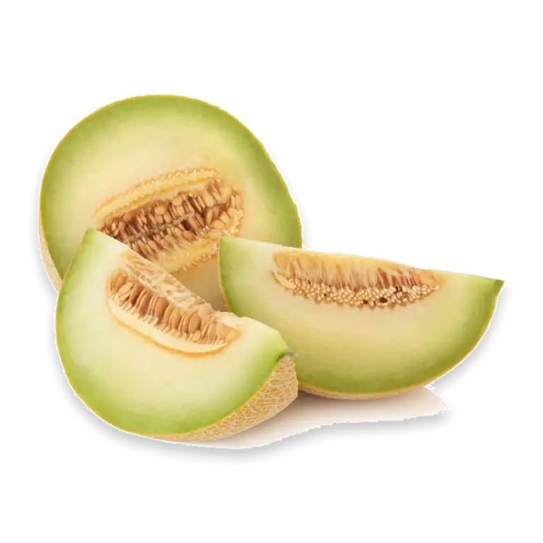Honeydew Large Half