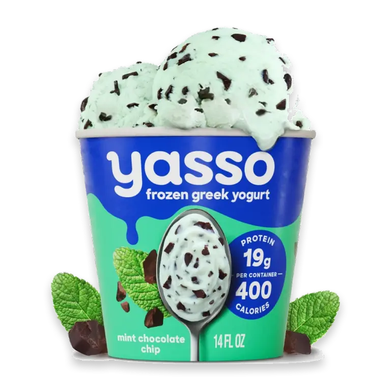 Ice Cream Mint Chocolate Chip 14 Fl Oz