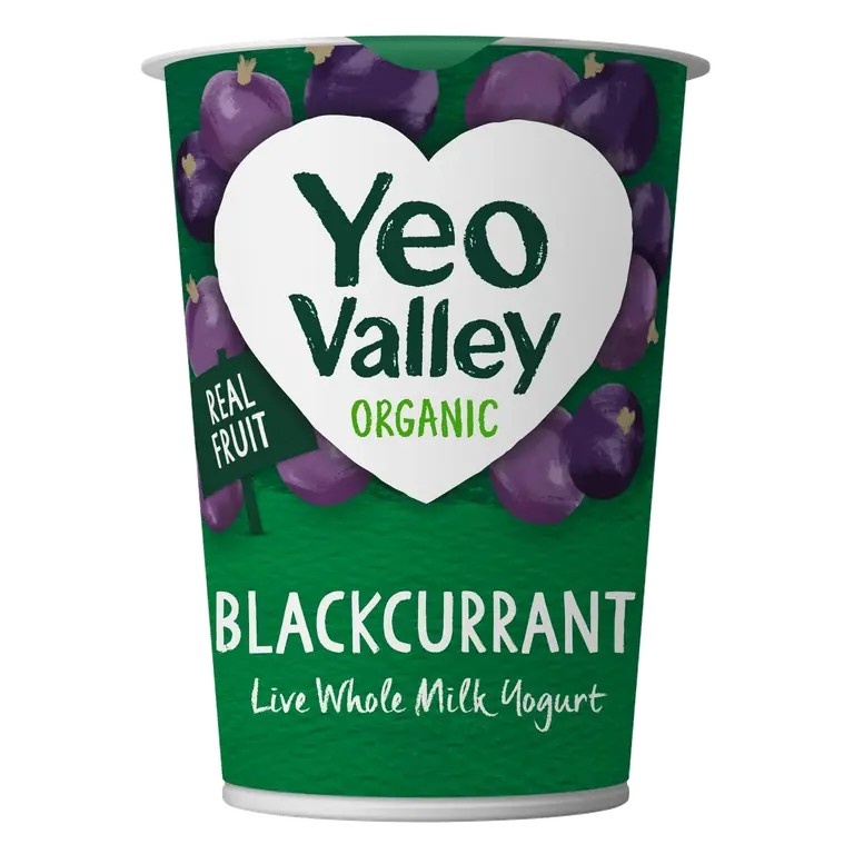 Organic British Blackcurrant Live Fruity & Creamy Yogurt 450g