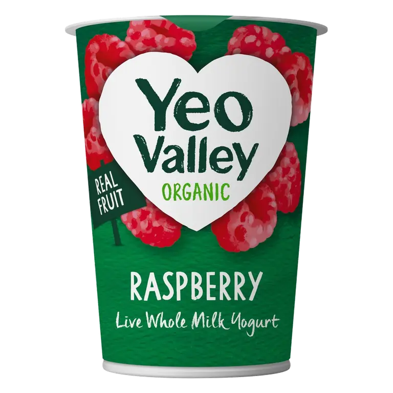 Organic Raspberry Yogurt 450g