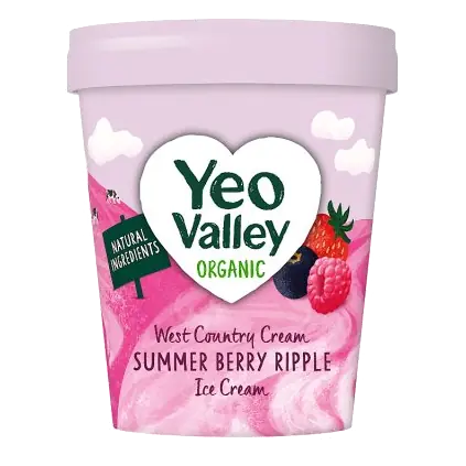 Organic Summer Berry Ice Cream