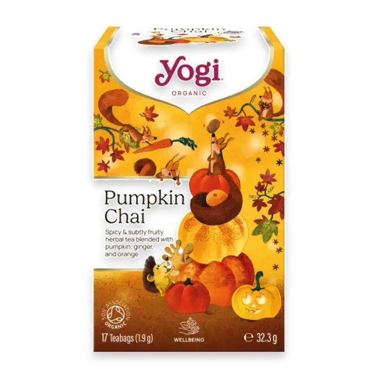 Te Pumpkin/Ginger/Orange Chai 17st