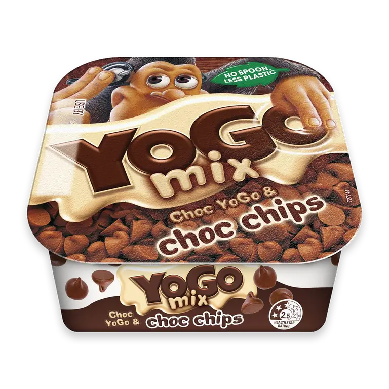 Chocolate With Choc Chip Custard Dessert