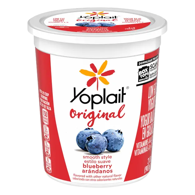 Original Low Fat Blueberry Yogurt