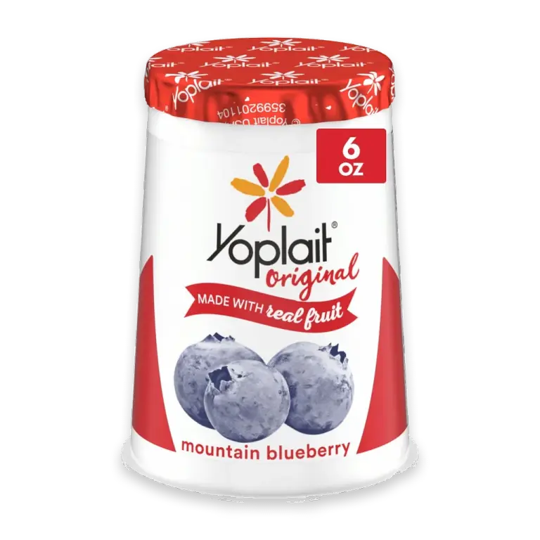 Original Low Fat Mountain Blueberry Yogurt Cup