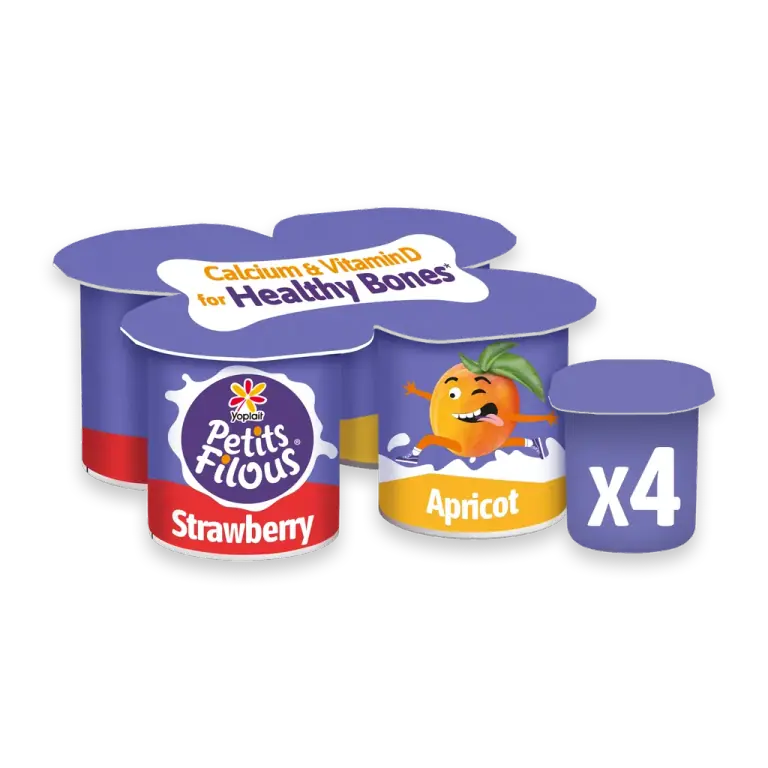 Petits Filous